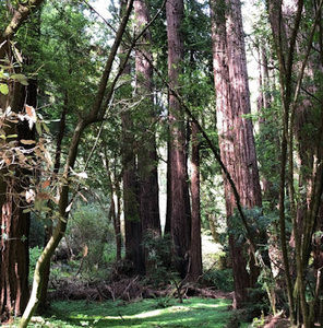 Meet your Posher, Aden